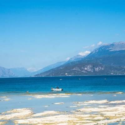 雷竞技app官方版下载