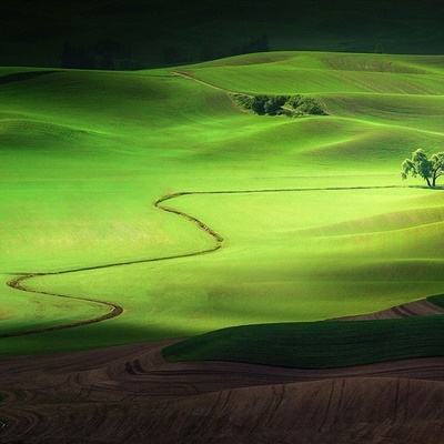 足球滚球的正规平台app