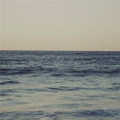 双赢彩票下载手机版