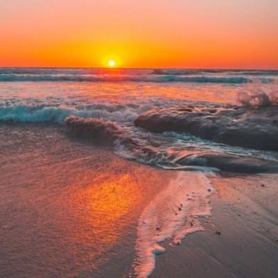 南宫28下载手机版