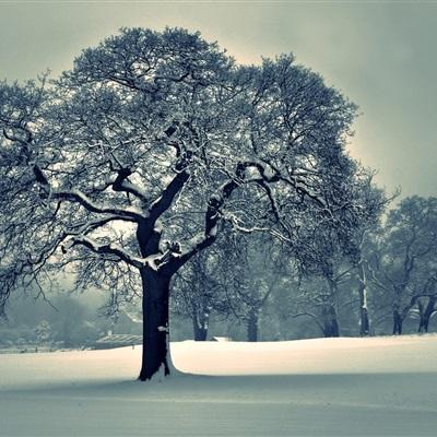 爱体育官方app手机app下载