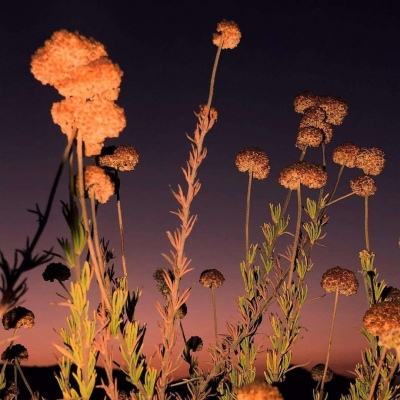 九州官网十年信誉玩家首选手机app下载