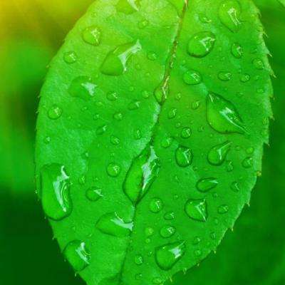 b体育官方官网入口